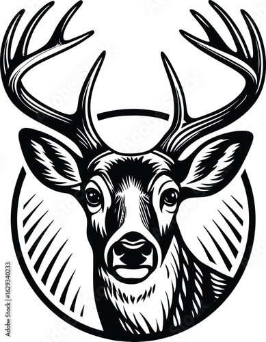 Deer Head Isolated on White Background – Realistic Wildlife Taxidermy, Animal Trophy Wall Mount, Stag Antlers, Forest Animal Portrait for Nature, Hunting, Rustic, or Cabin Decor Concepts

