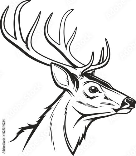 Deer Head Isolated on White Background – Realistic Wildlife Taxidermy, Animal Trophy Wall Mount, Stag Antlers, Forest Animal Portrait for Nature, Hunting, Rustic, or Cabin Decor Concepts

