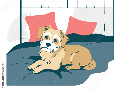 Small shaggy dog lies on a bed with pink pillows in a cozy room puppy animal