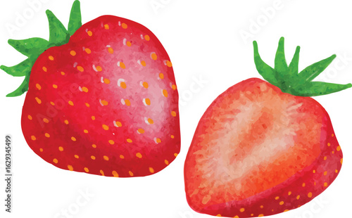 Hand drawn strawberry Vector