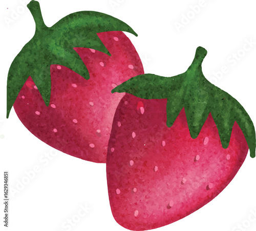 Hand drawn strawberry Vector