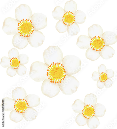 Botanical flower and trees illustration  Vector
