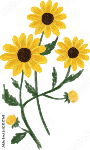 Botanical flower and trees illustration  Vector