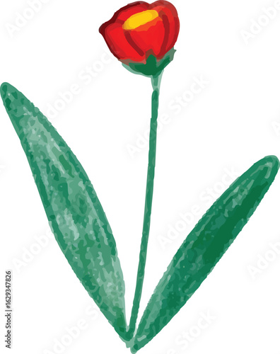 Botanical flower and trees illustration  Vector