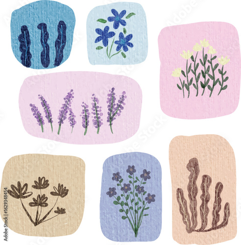Cute Botanical Elements Set Pastel Nature Vector Clipart