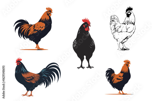 Colorful chicken hen rooster poultry farmyard silhouette set,  natural walking pose,  flat style 