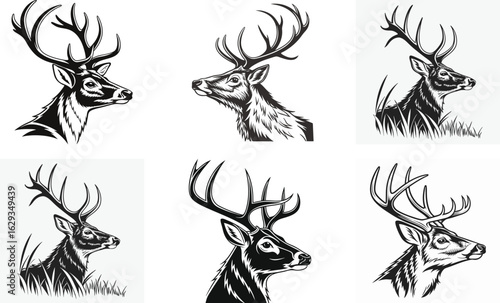 Deer Head Isolated on White Background – Realistic Wildlife Taxidermy, Animal Trophy Wall Mount, Stag Antlers, Forest Animal Portrait for Nature, Hunting, Rustic, or Cabin Decor Concepts

