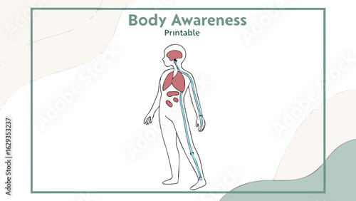 Body awareness printable understanding internal systems and body functionality for educational purposes