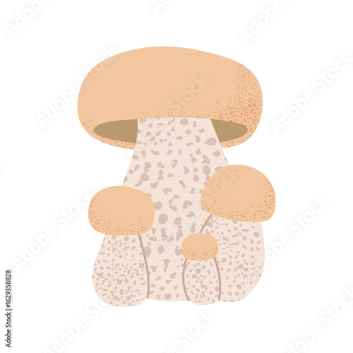White mushroom. Vector on transparent background