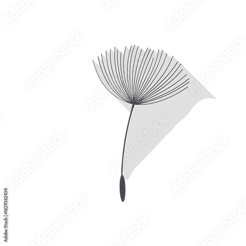 Abstract illustration of a minimalistic flower with thin lines