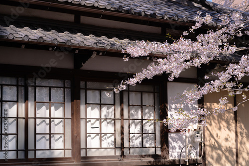 traditional Japanese house with blossom flowers in Springtime, close-up view of the details of architecture with the blossoms in the warm sunlight.