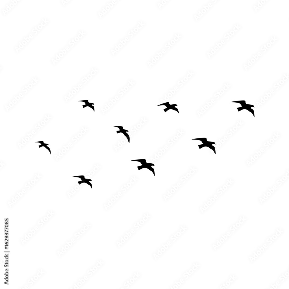 Fototapeta premium Vector solid black icon for Flock