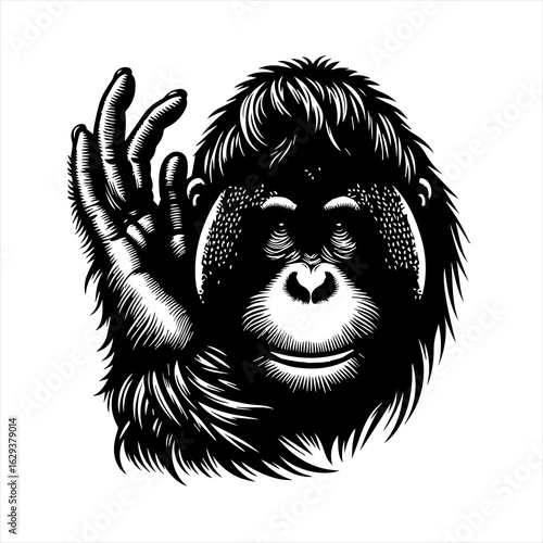 Orangutan primate with hand raised in a gesture of greeting or acknowledgment