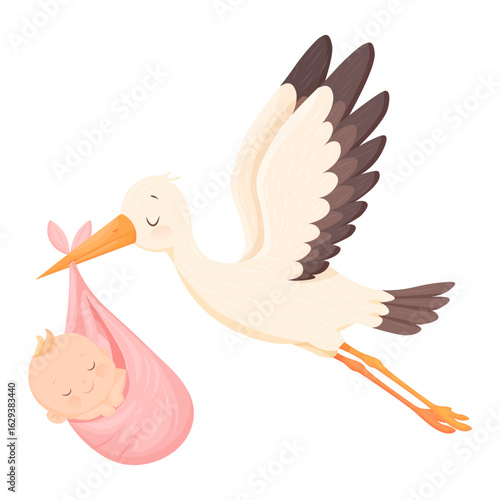 Vector cartoon image of a stork carrying a baby. The concept of a long-awaited pregnancy and a baby. Boy or girl. Element for your design