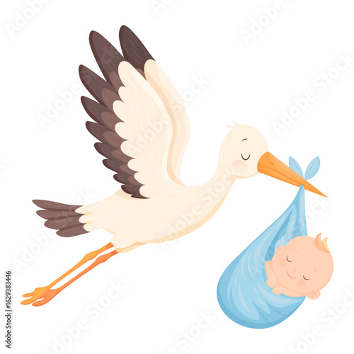 Vector cartoon image of a stork carrying a baby. The concept of a long-awaited pregnancy and a baby. Boy or girl. Element for your design