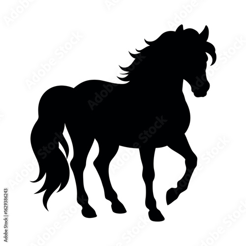 Horse run cycle. Walking trotting and galloping horse. Vector illustration isolated on a white background