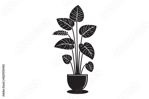 Vector silhouette of a monstera plant in a pot, black color isolated on a white background