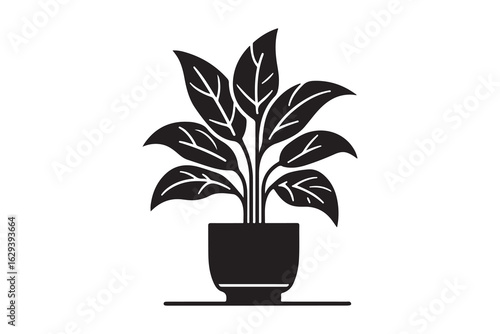 Black silhouette of a potted plant isolated on a white background 
