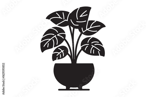 Black silhouette of a potted plant isolated on a white background 