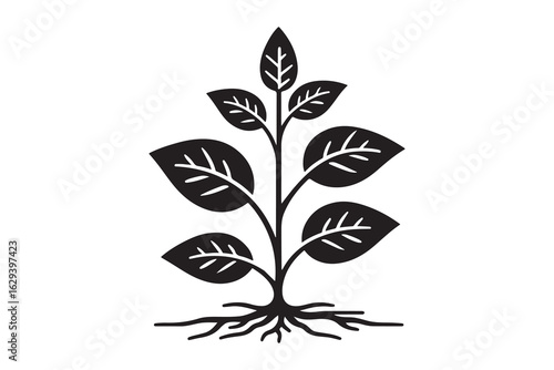 tree with roots 