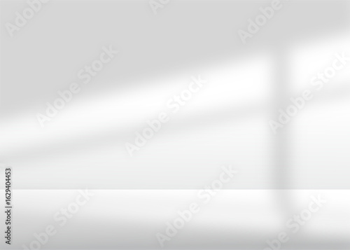 Sunlight and Window Shadow on Clean White Wall Interior Background Aesthetic Minimal Style