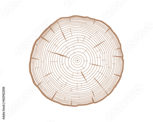 Tree Ring Cross Section Illustration Wood Texture Growth Rings Annual Rings Vector Illustration