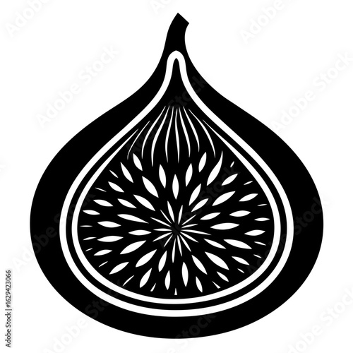 vector illustration of an apple