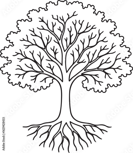 Black and White Tree Illustration with Detailed Roots and Leafy Crown