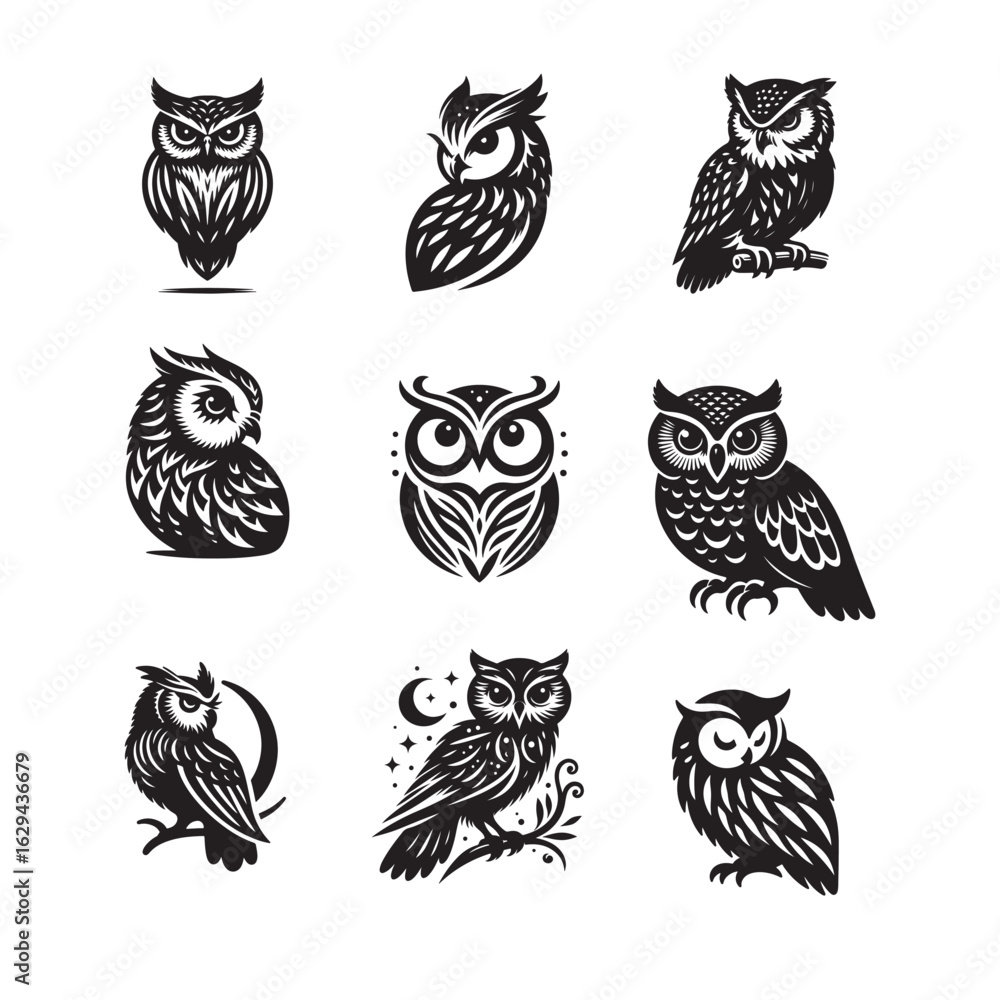 Obraz premium set of owl icons