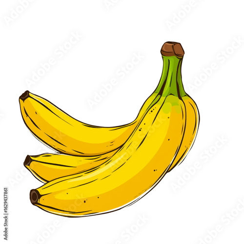 Ripe banana, vector illustration. Fruit isolated on white background. Bunch of bananas, theme of veganism, diet, healthy eating and bright tropical fruits