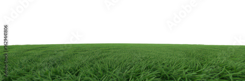 Rolling green grass field with a dark sky isolated on transparent background