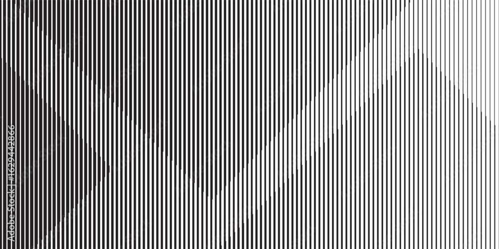 Fototapeta premium Narrow black-white vertical lines. Symmetric geometric ornament. Striped seamless pattern, abstract wallpaper. Digital paper for textile print, page fill. Vector