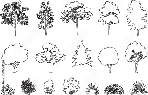 Variety of Tree and Bush Outlines for Landscaping and Architectural Design Projects Illustrations and Concept Art Creation