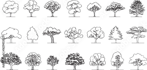 Diverse Collection of Tree Illustrations for Architectural and Landscape Design Projects Showing Different Shapes and Foliage Styles Depicted with Fine Line Work