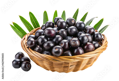 Wallpaper Mural Basket filled with fresh Jabuticaba fruit and surrounded by green leaves Torontodigital.ca