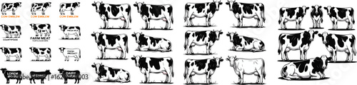 Collection of Dairy Cow Illustrations Black and White Graphics for Farm and Food Designs