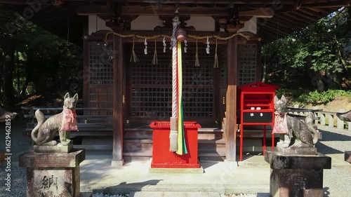蝉が鳴く真夏の稲荷神社