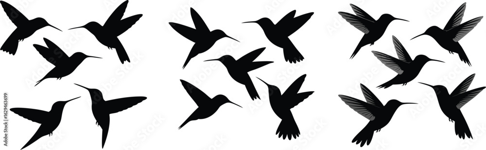 Fototapeta premium Hummingbird Silhouettes in Flight Pattern Isolated on White Background for Design and Illustration
