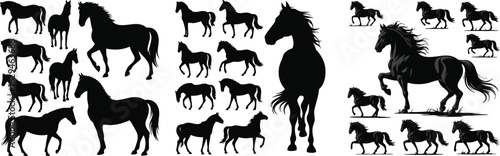 Horse Silhouettes Set Various Poses of Black Stallions and Mares for Equestrian Designs