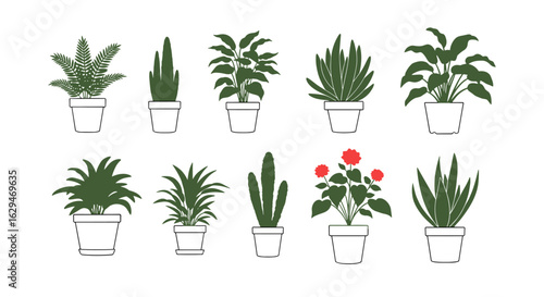 Collection of potted houseplants vibrant green foliage for home decor and interior design