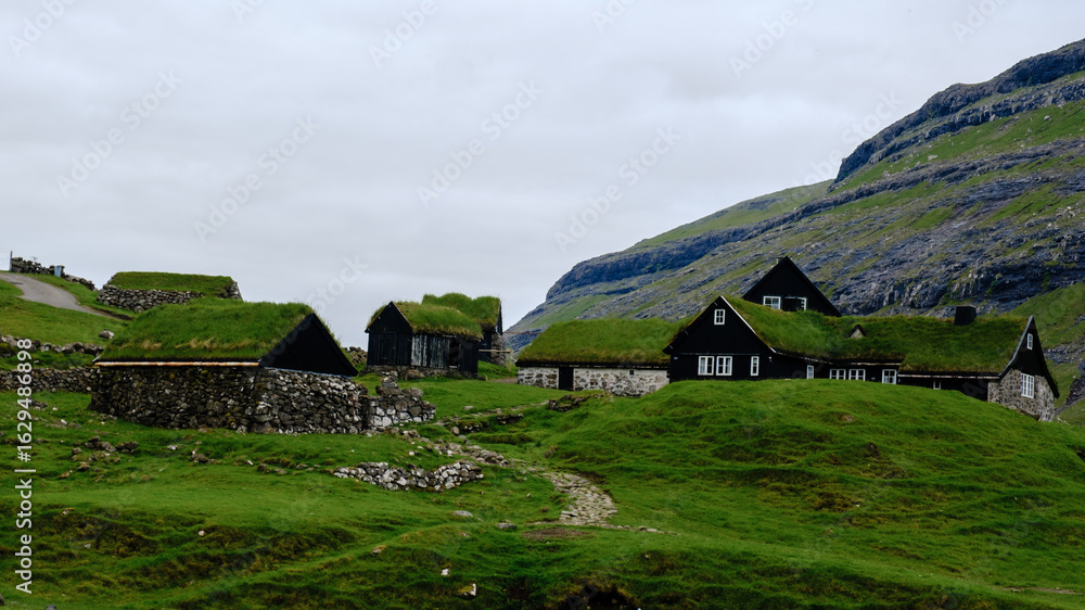 Obraz premium Historic grass-roofed houses nestled in the lush landscapes of the Faroe Islands