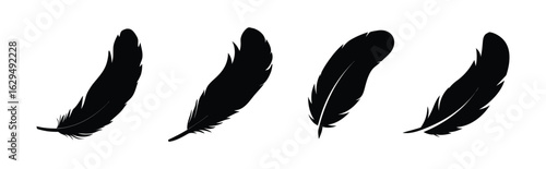 Download black and white feather illustration vector set for graphic design and art projects