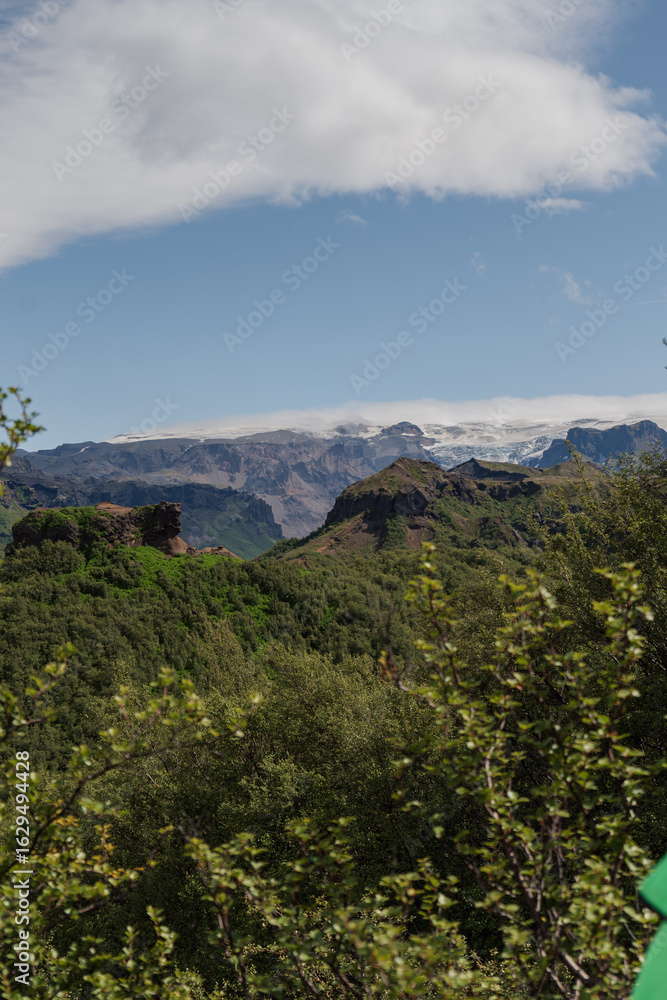 Fototapeta premium Lush Green Landscape with Glacier Covered Mountains in Iceland