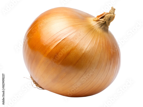 Wallpaper Mural A single brown onion with its skin and root visible, isolated on transparent background Torontodigital.ca