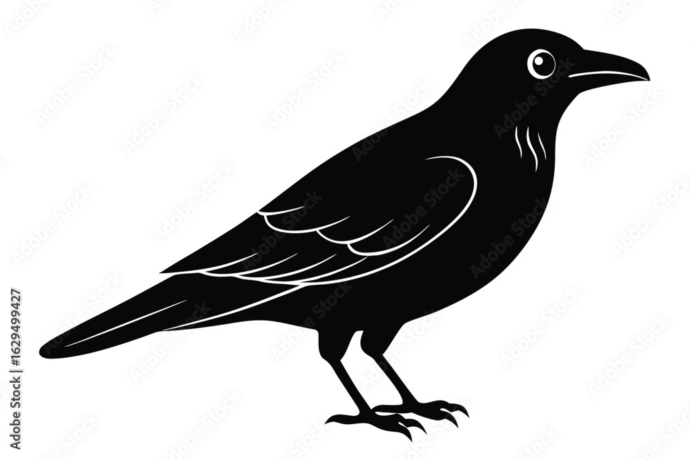 Obraz premium black crow vector icon