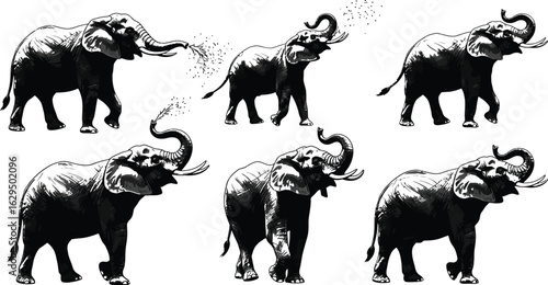 Majestic elephants spray water in powerful dynamic poses