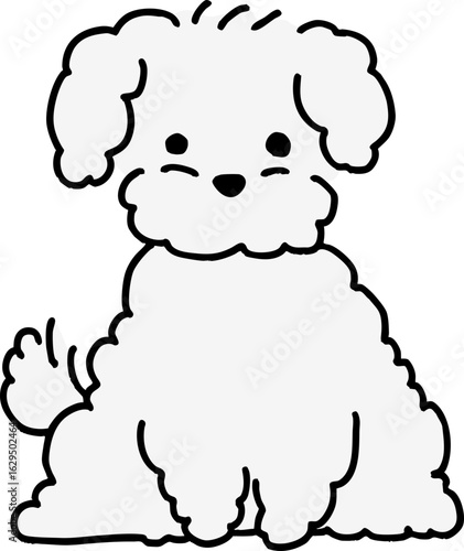 푸들