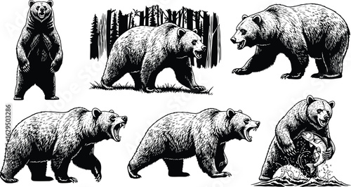 Dynamic bear illustrations capture raw power and wild spirit
