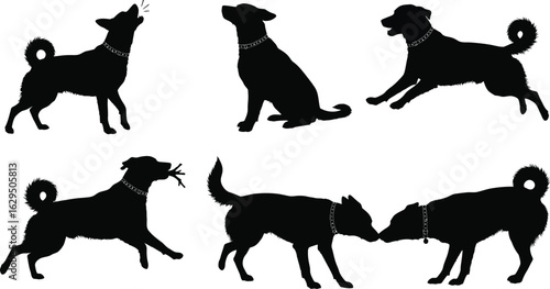 Playful dog silhouettes capture joyful pet moments and canine energy