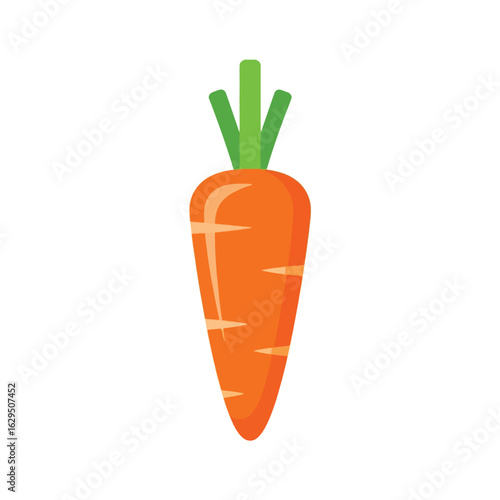 Vector Carrot Illustration - Orange Vegetable with Green Top
